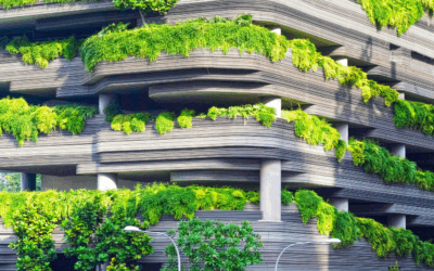 When Hitting Your Goals Still Feels Empty