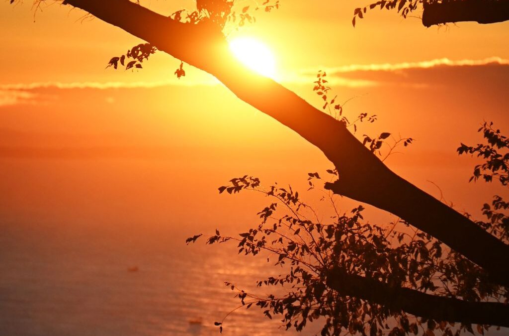 Massive action still beats perfect preparation