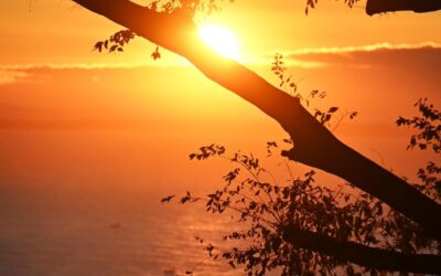 Massive action still beats perfect preparation