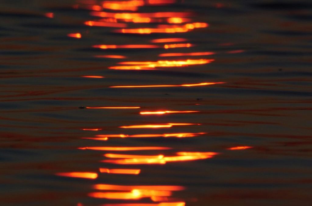 The Listing I Lost Because I Couldn’t Justify My Fee