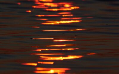 The Listing I Lost Because I Couldn’t Justify My Fee