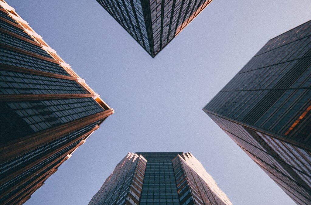 How I Built a Career Around Discipline and Consistency